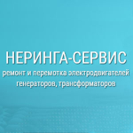 Логотип сервисного центра ООО Неринга Сервис